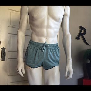 Authentic American Heritage short shorts